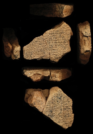 N6208