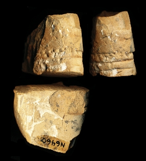 N6460
