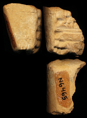 N6465