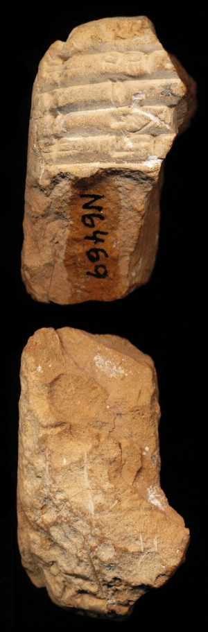 N6469