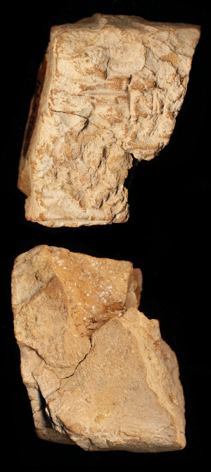 N6474