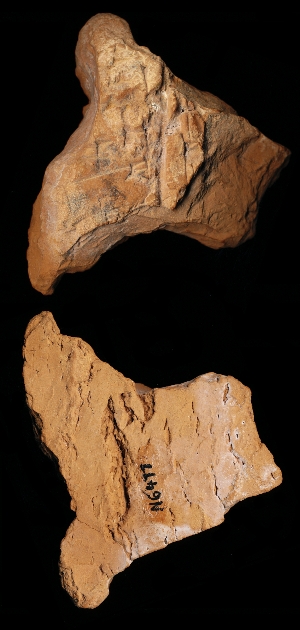 N6477