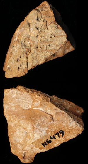 N6479