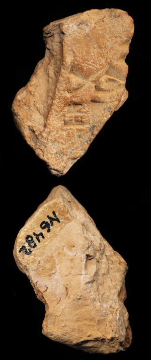 N6482