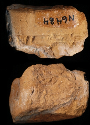 N6484