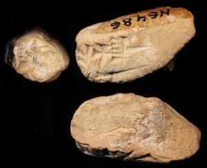 N6486
