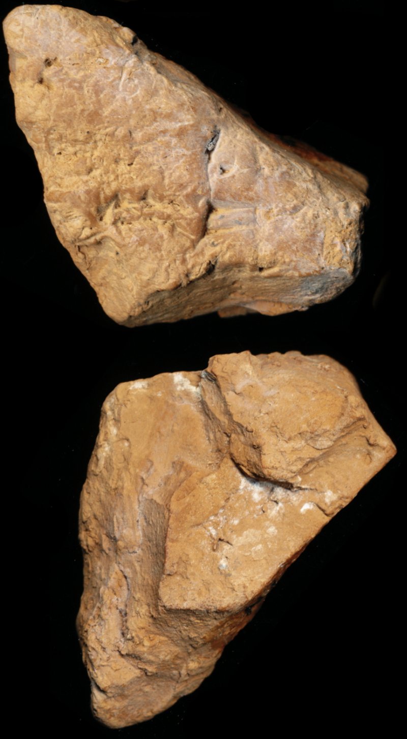 809491