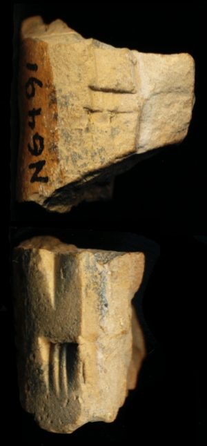 N6491