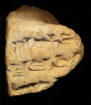 N6492