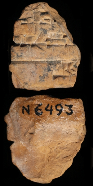N6493