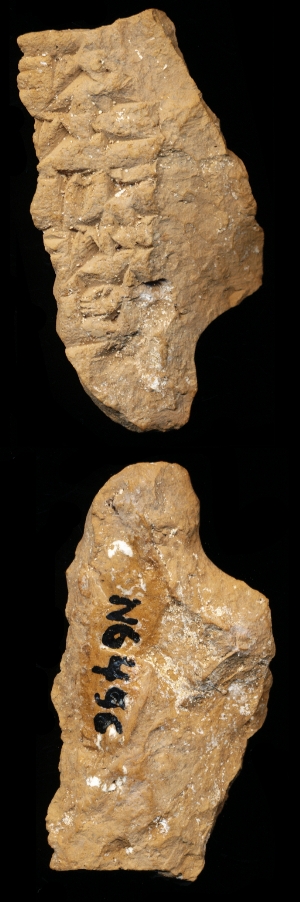 N6496
