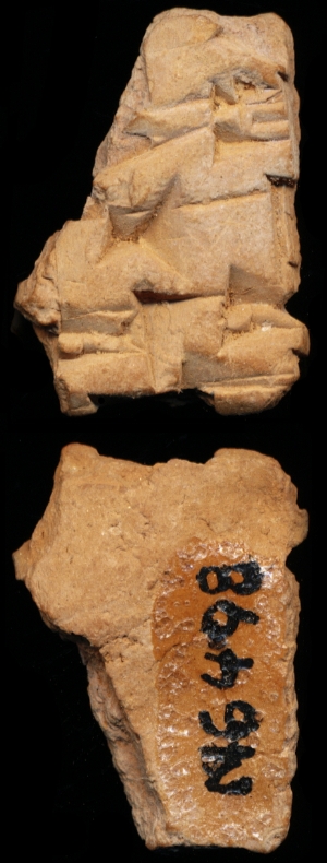 N6498