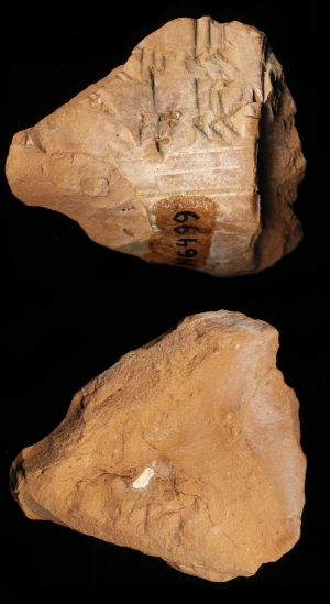N6499