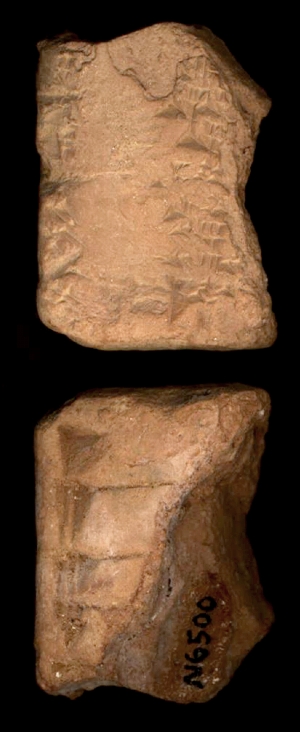N6500