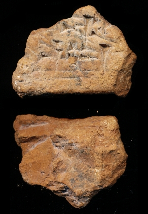 N6507