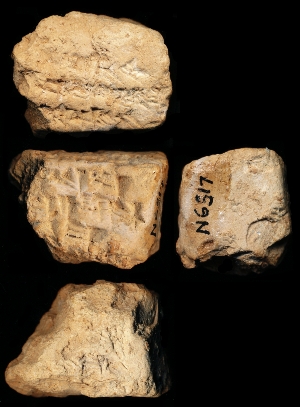 N6517