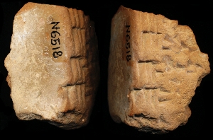 N6518