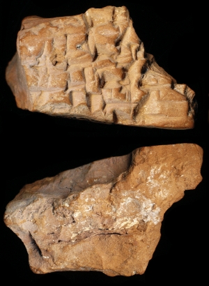 N6522