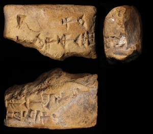 N6524
