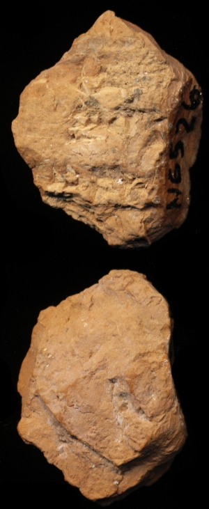 N6526