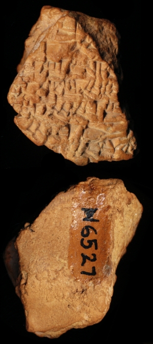 N6527
