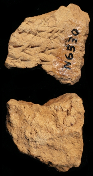 N6530