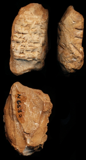N6532