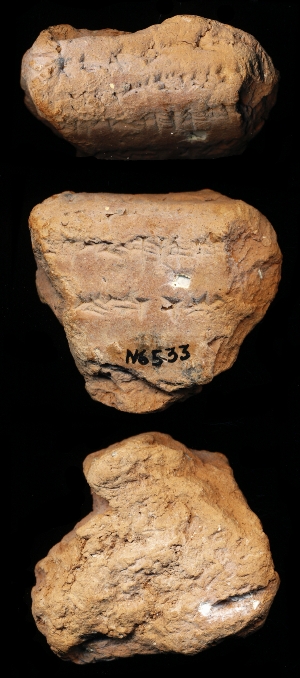 N6533