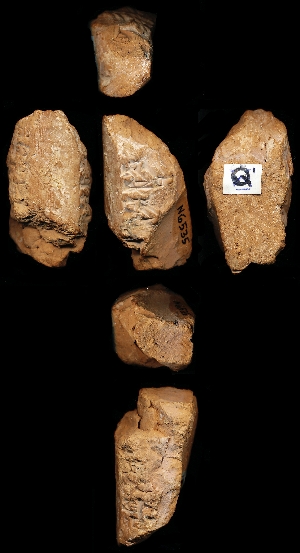 N6535