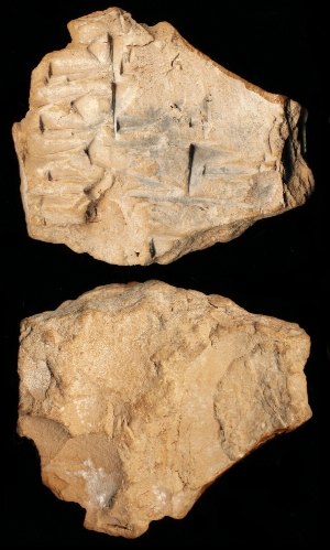 N6536