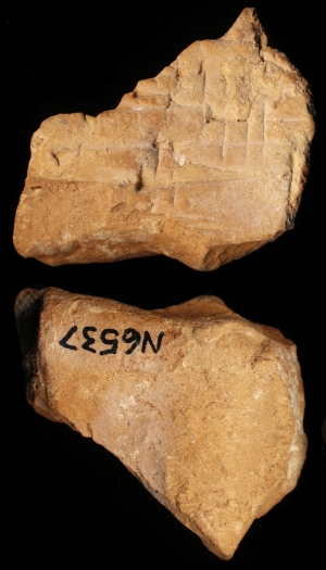 N6537