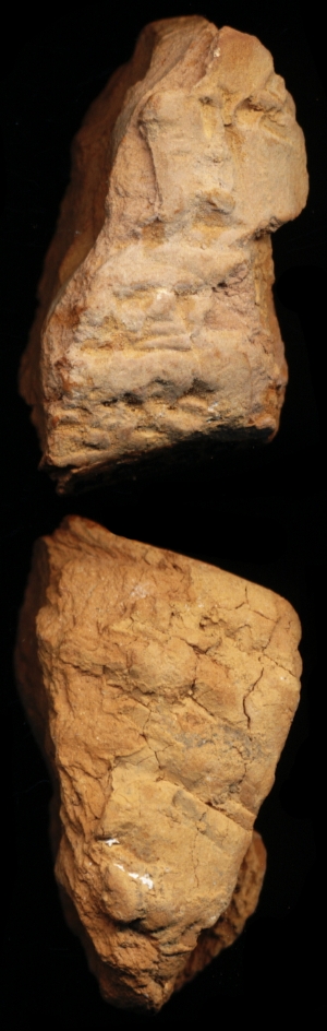 N6539
