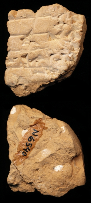 N6540
