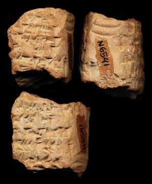 N6541