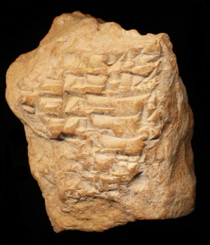 N6543