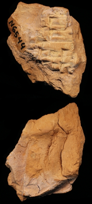 N6544