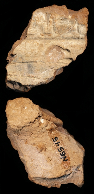 N6545