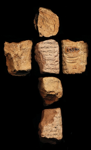 N6549