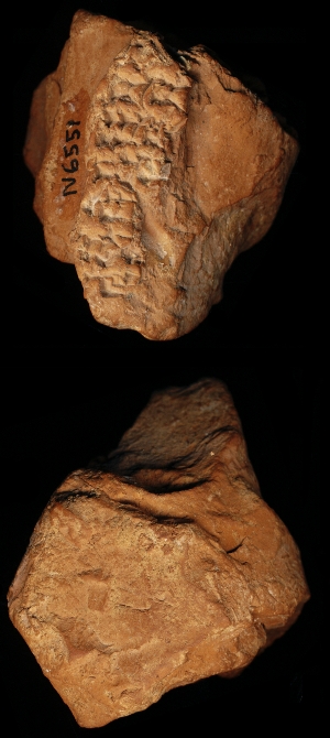 N6551