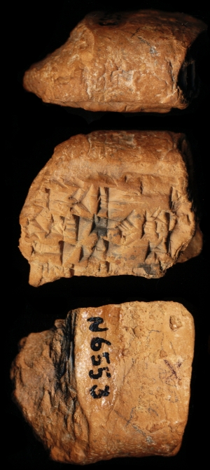 N6553