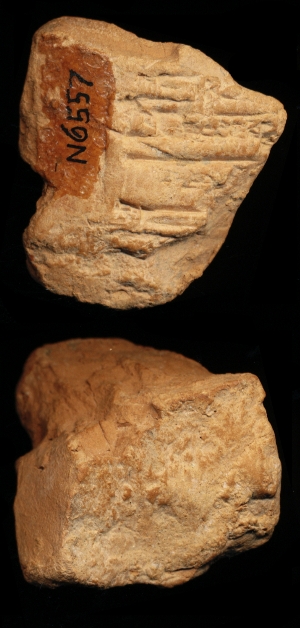 N6557