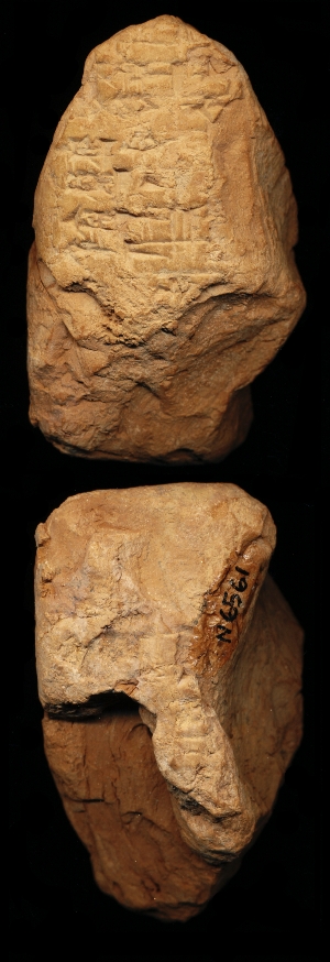 N6561