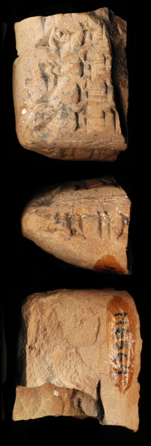 N6564