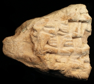 N6565