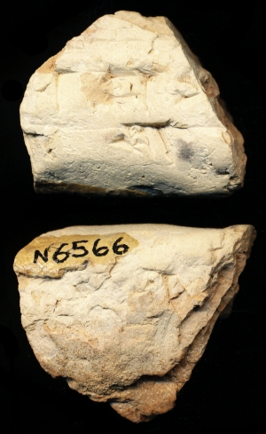 N6566