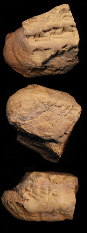 N6569