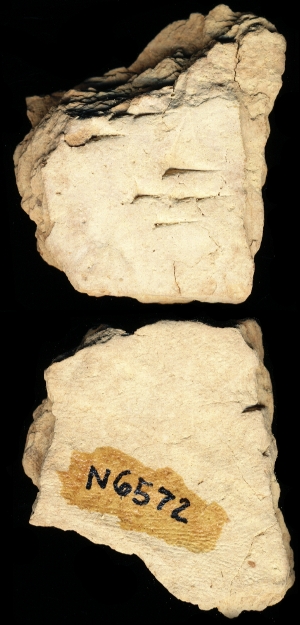 N6572