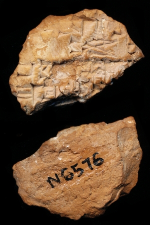 N6576