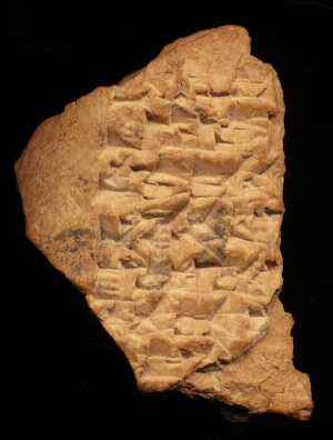 N6577