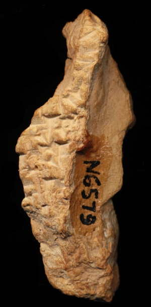 N6579